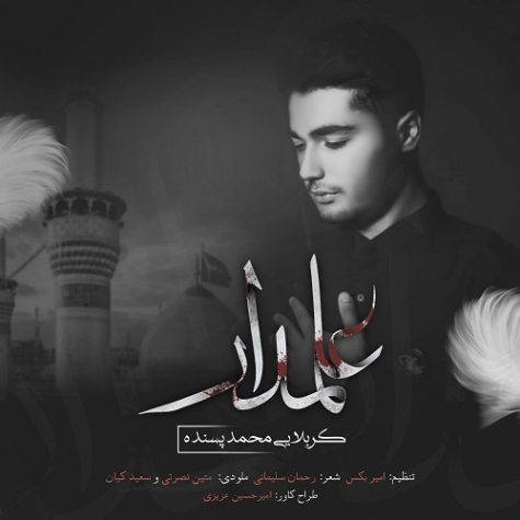 Mohamad Pasandeh Alamdar